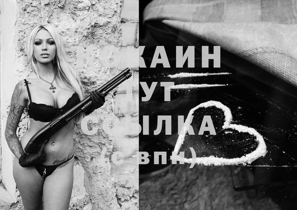 гидра Наволоки