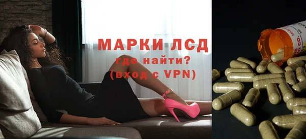 apvp Надым