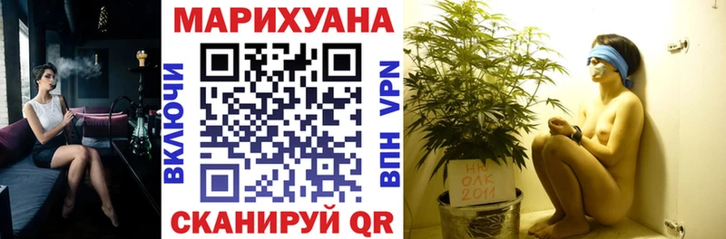 Бошки марихуана семена  где купить наркоту  Пудож 